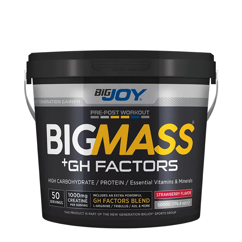 Bigjoy Sports-Bigmass Gh Factors Çilek 5kg KOVA